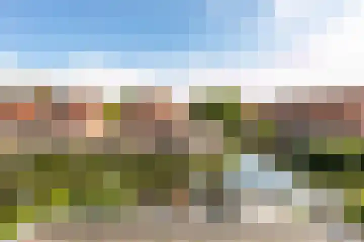 Zwanenkamp 587 Maarssen thumbnail 28
