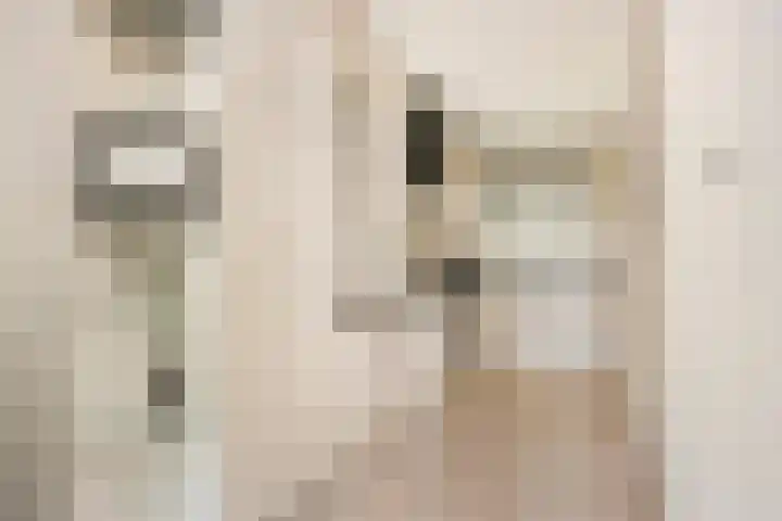 Zwanenkamp 587 Maarssen thumbnail 8