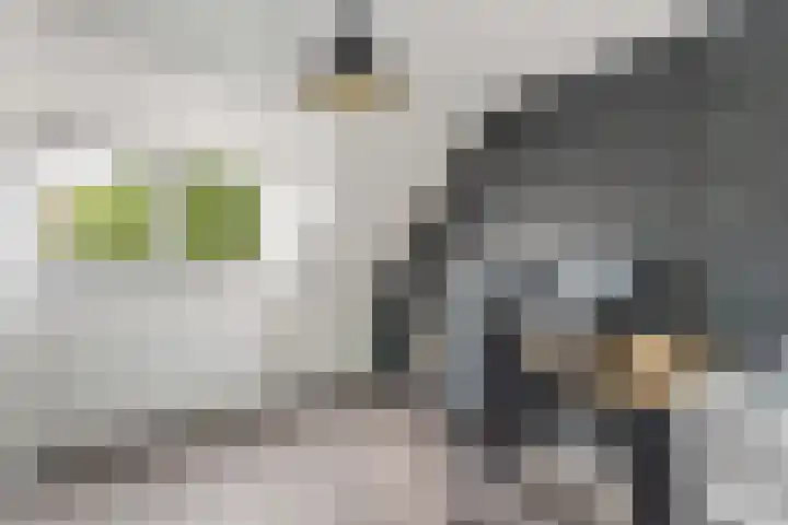 Zwanenkamp 608 Maarssen thumbnail 20