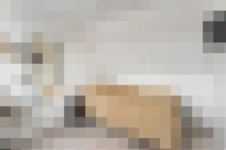 Zwanenkamp 608 Maarssen thumbnail 27