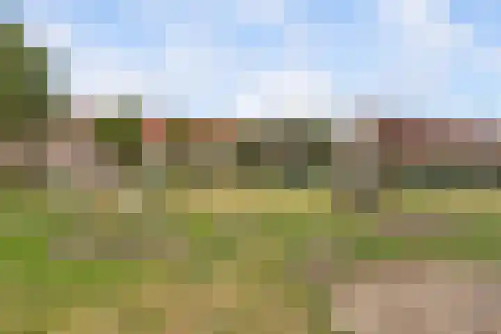 Zwanenkamp 608 Maarssen thumbnail 38
