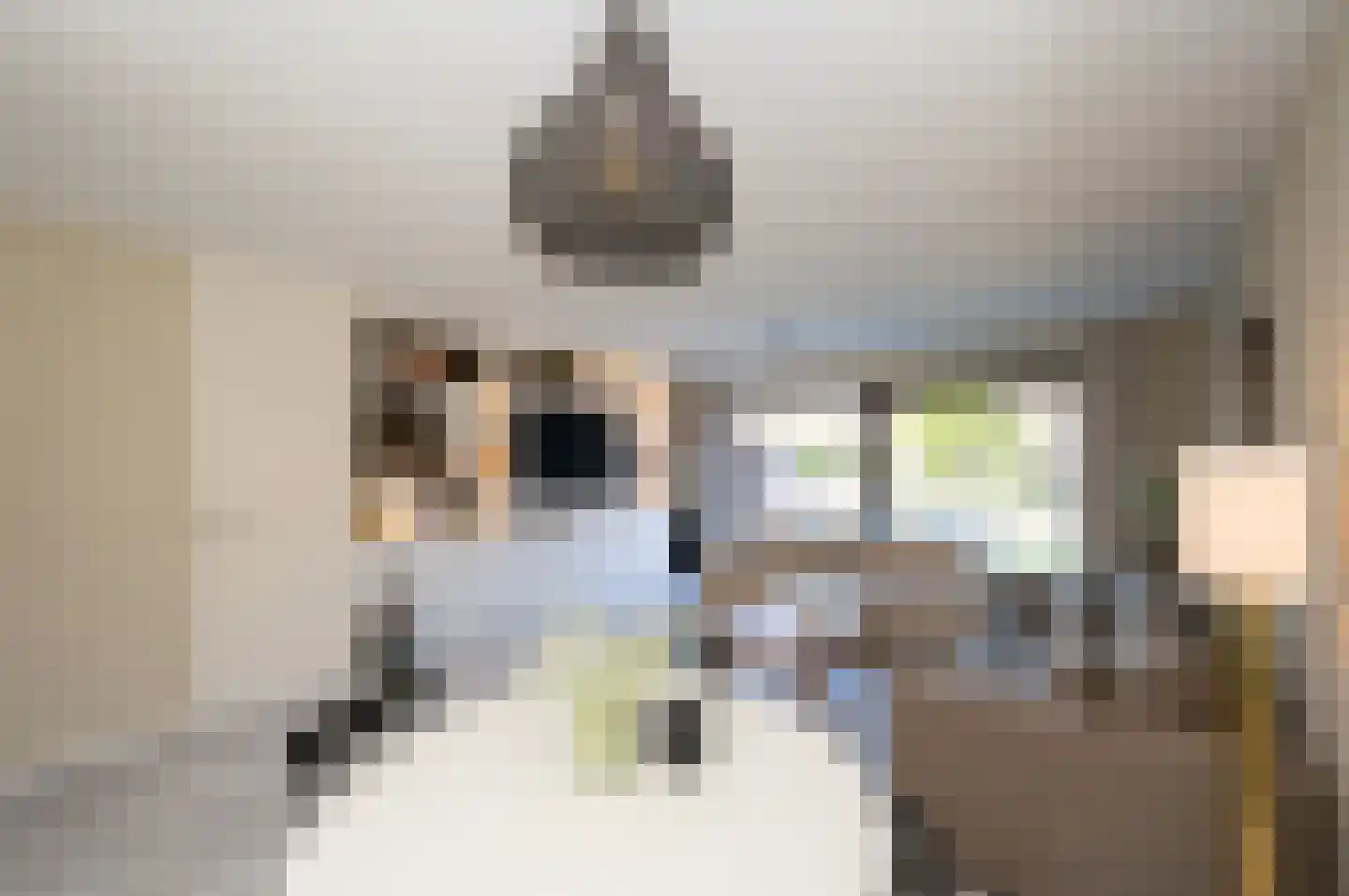 Zwanenkamp 61 Maarssen thumbnail 11