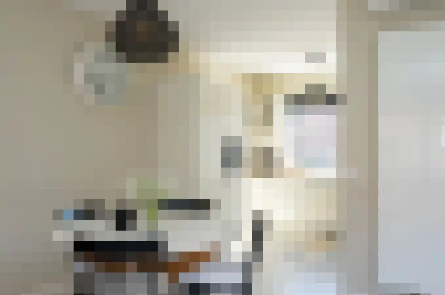 Zwanenkamp 61 Maarssen thumbnail 16