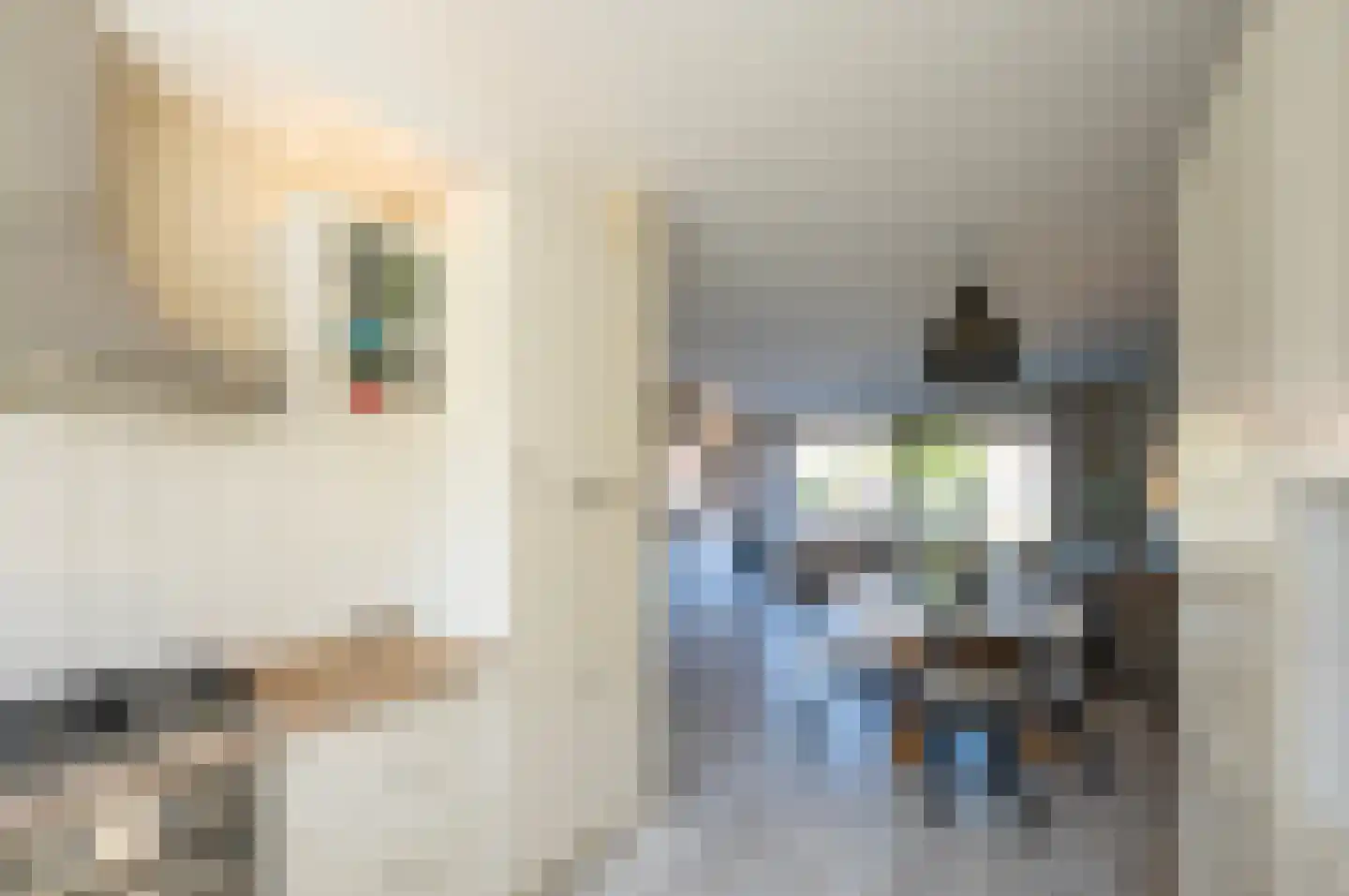 Zwanenkamp 61 Maarssen thumbnail 18