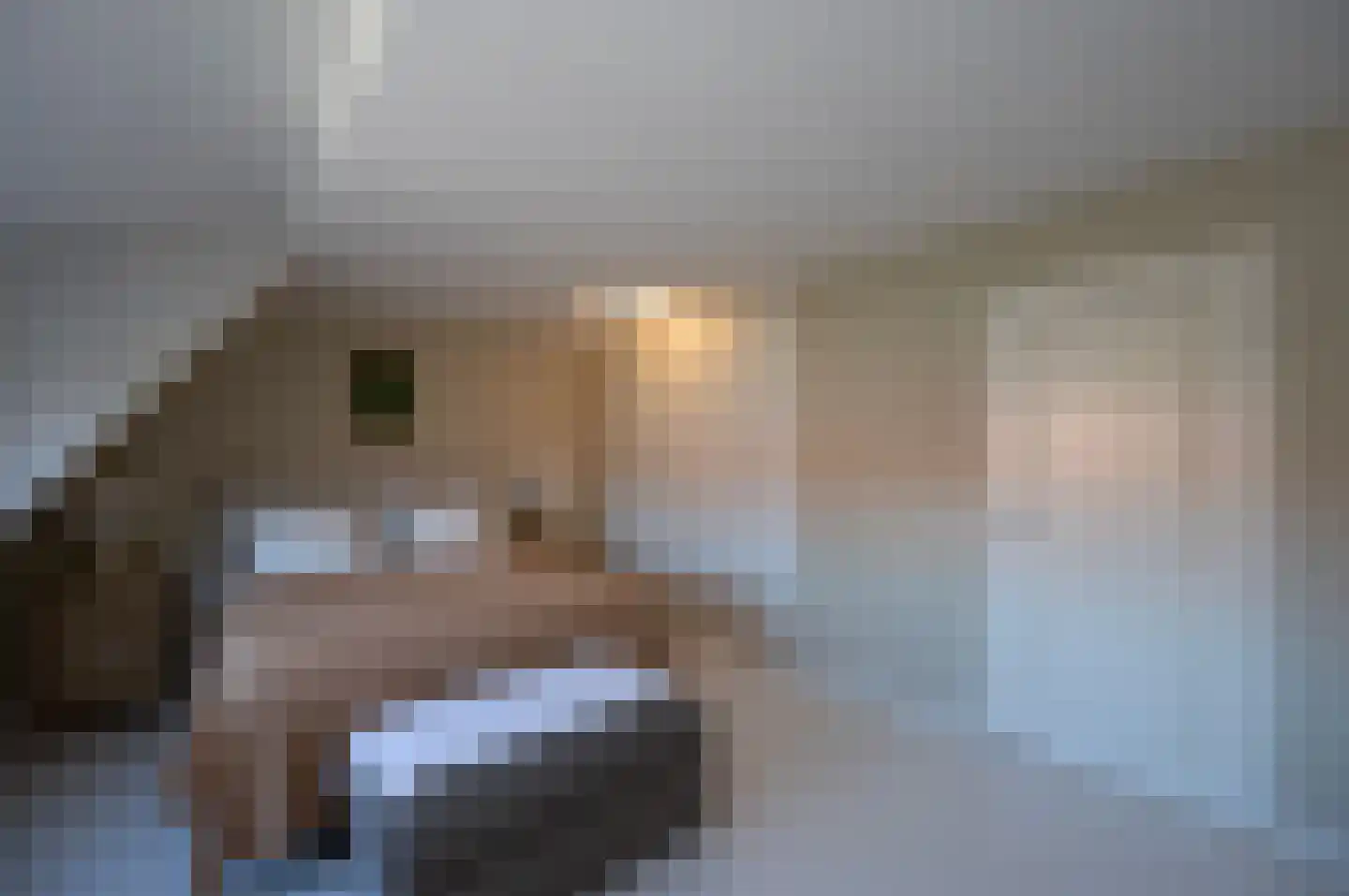 Zwanenkamp 61 Maarssen thumbnail 24