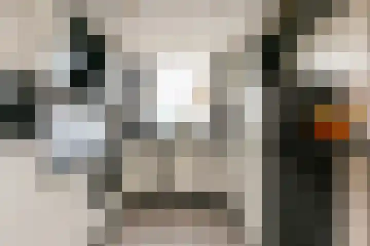 Zwanenkamp 678 Maarssen thumbnail 10