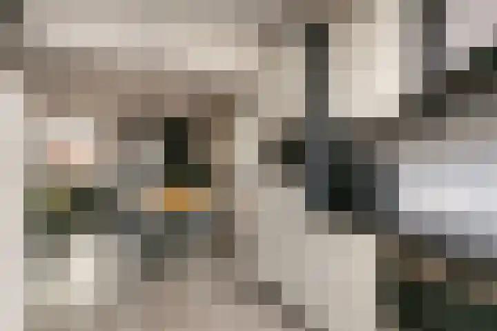 Zwanenkamp 678 Maarssen thumbnail 11