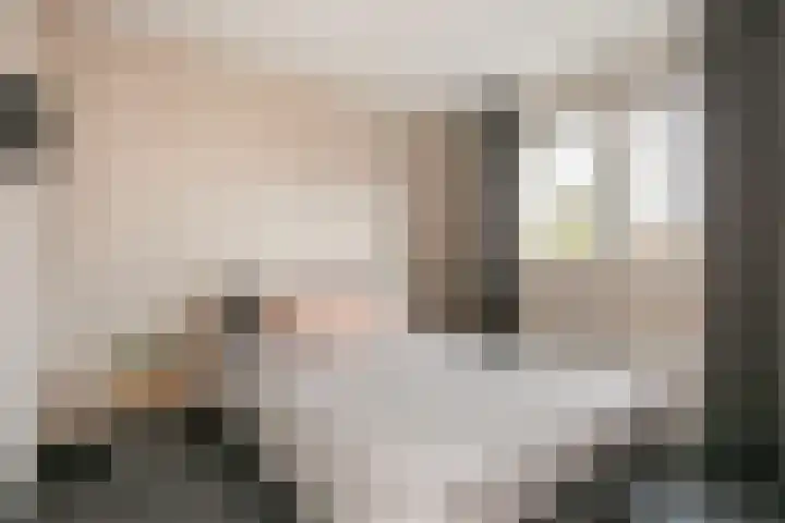 Zwanenkamp 678 Maarssen thumbnail 16