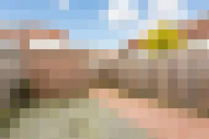 Zwanenkamp 678 Maarssen thumbnail 26
