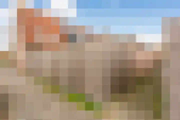Zwanenkamp 678 Maarssen thumbnail 28