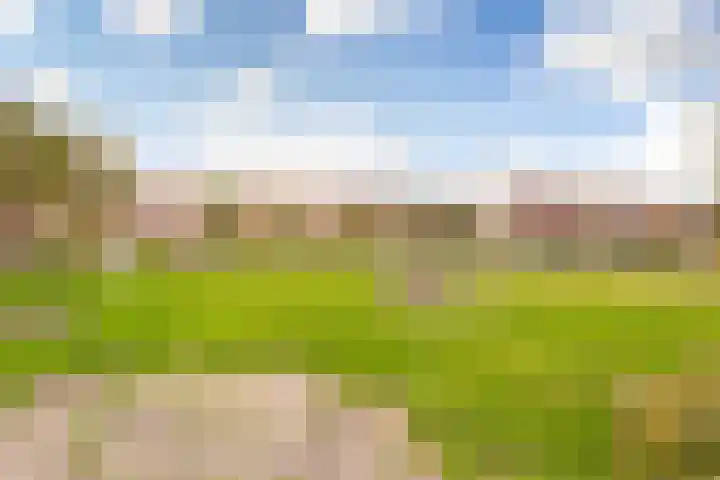 Zwanenkamp 678 Maarssen thumbnail 31
