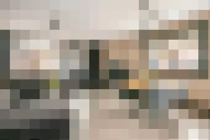 Zwanenkamp 678 Maarssen thumbnail 6