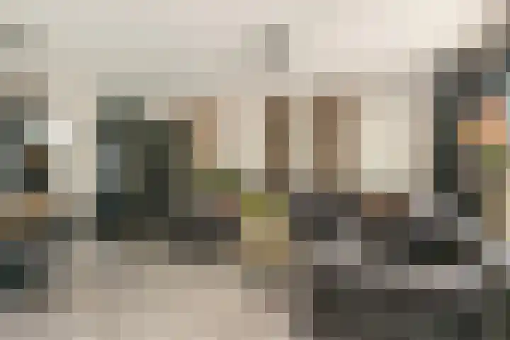 Zwanenkamp 678 Maarssen thumbnail 8