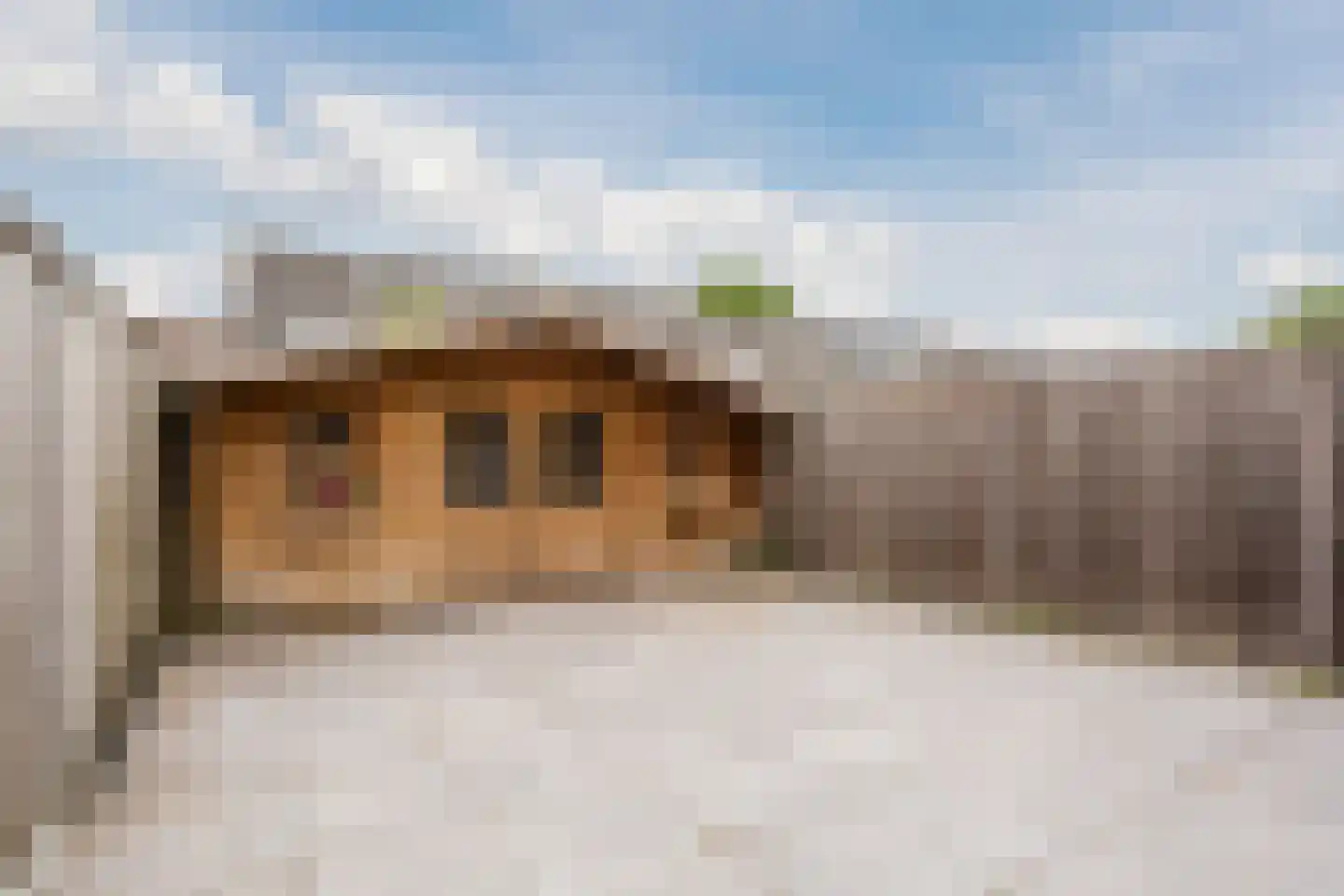 Zwanenkamp 756 Maarssen thumbnail 11