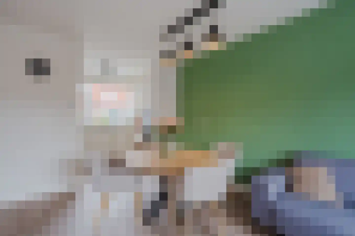 Zwanenkamp 756 Maarssen thumbnail 15