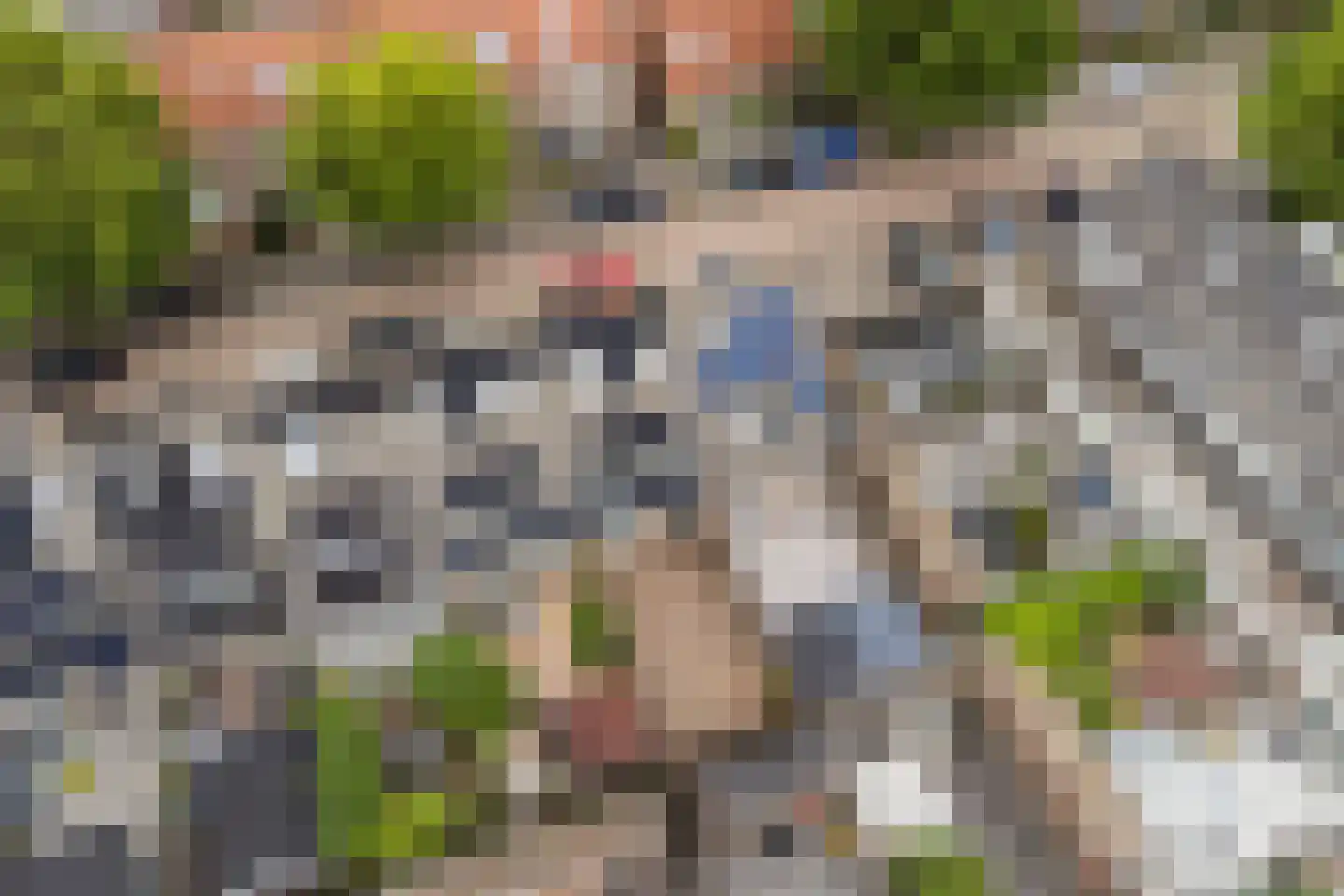 Zwanenkamp 756 Maarssen thumbnail 47