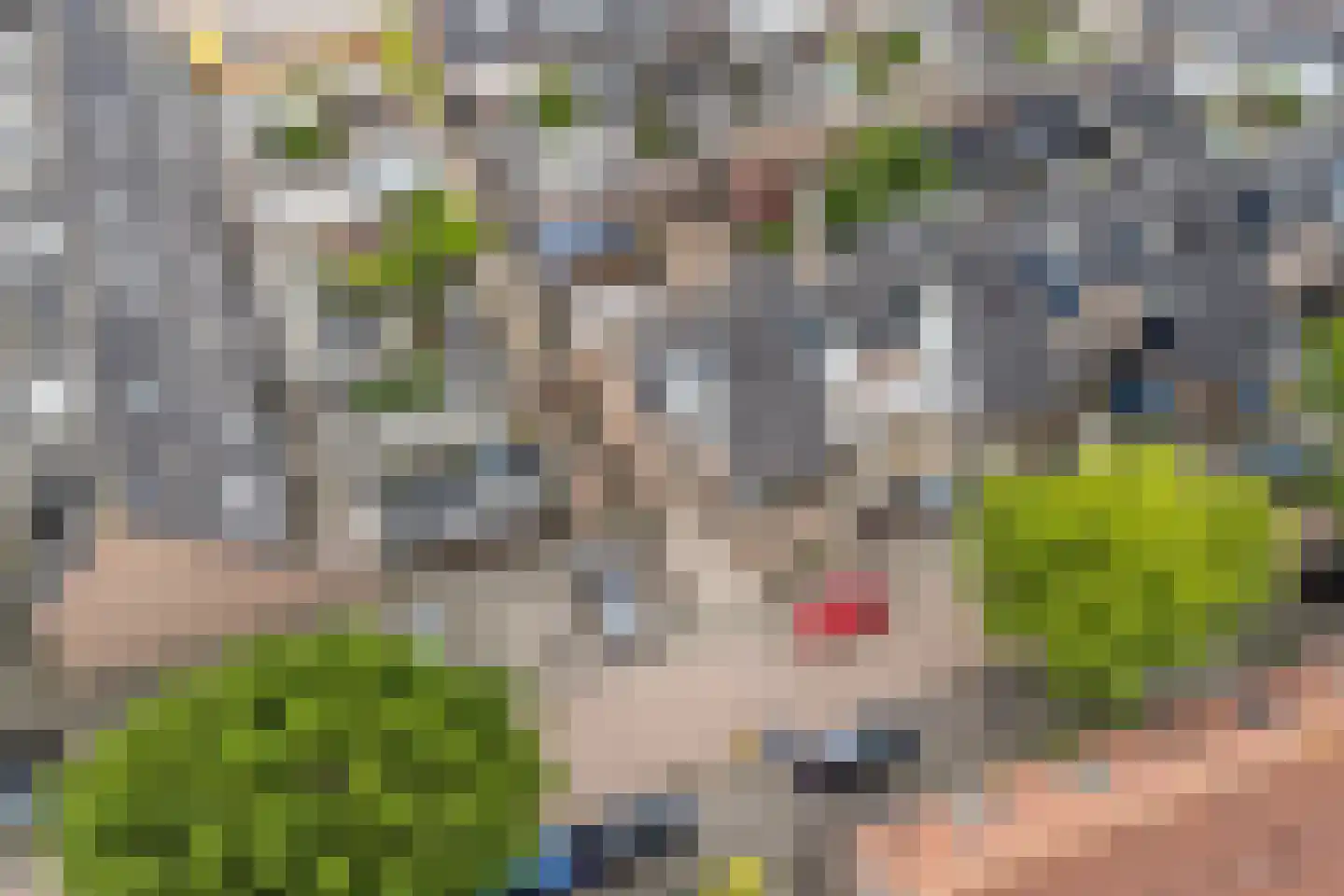 Zwanenkamp 756 Maarssen thumbnail 54