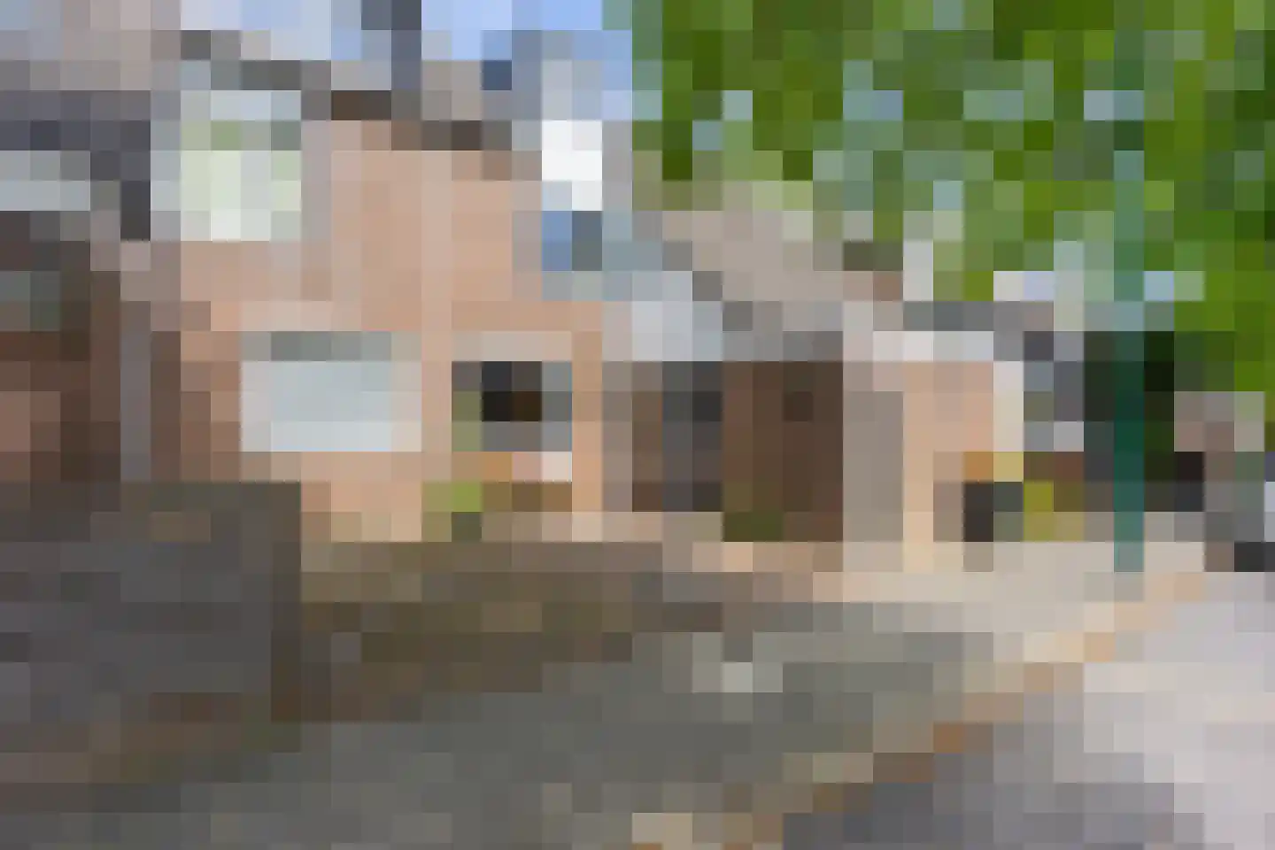 Zwanenkamp 785 Maarssen thumbnail 10