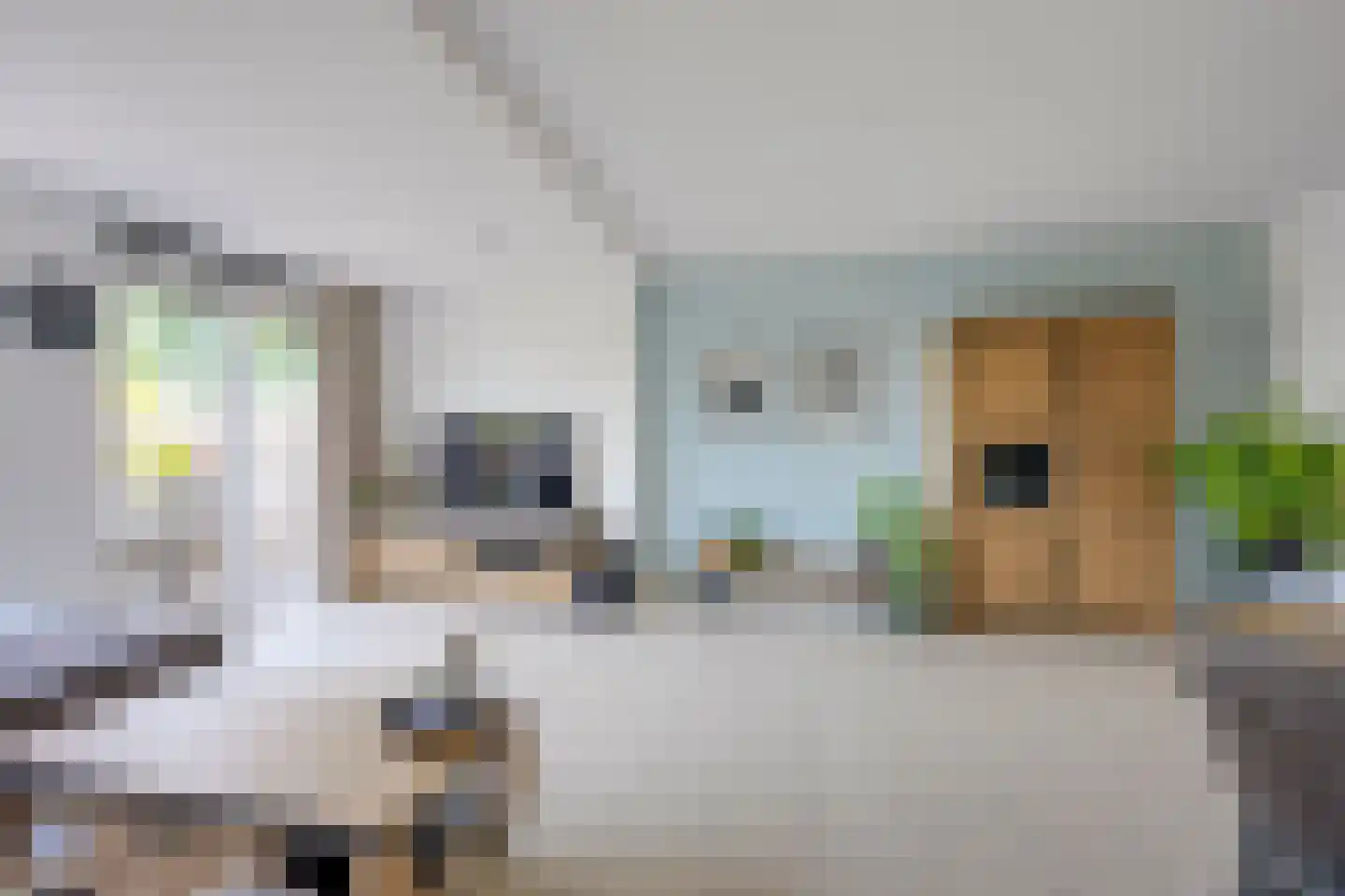 Zwanenkamp 785 Maarssen thumbnail 19