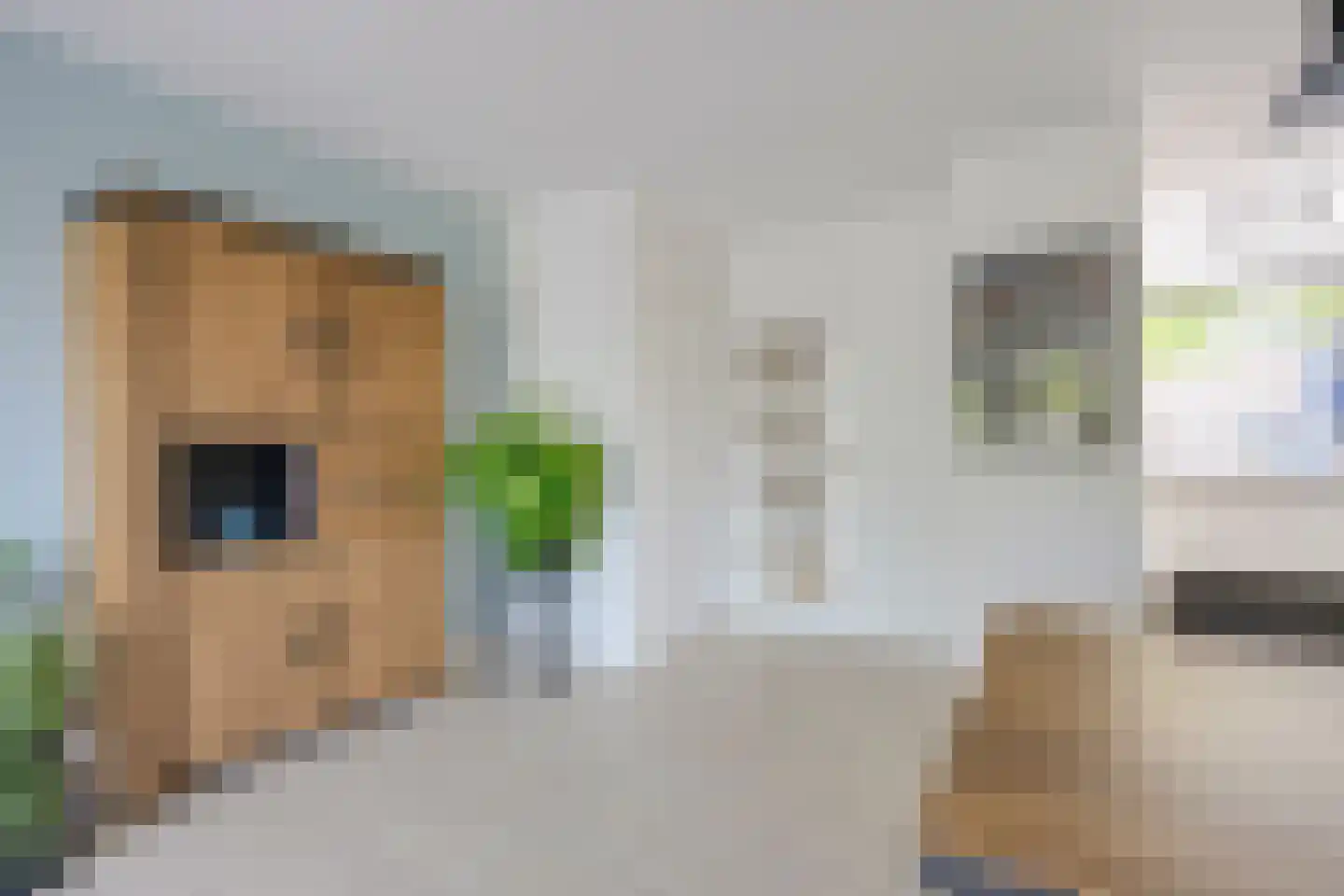Zwanenkamp 785 Maarssen thumbnail 21