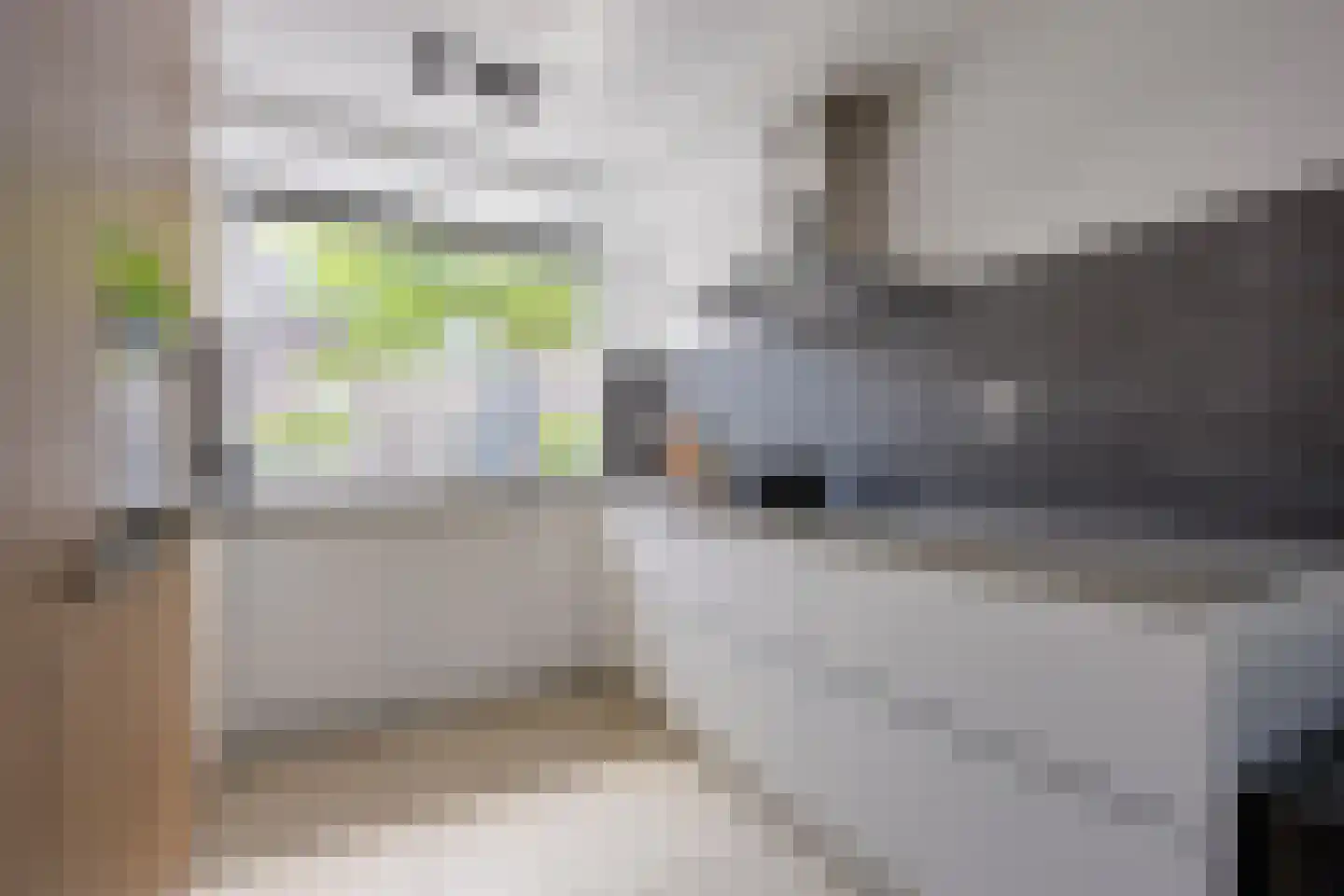 Zwanenkamp 785 Maarssen thumbnail 22