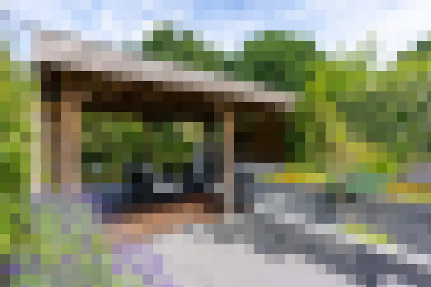 Zwanenkamp 785 Maarssen thumbnail 28