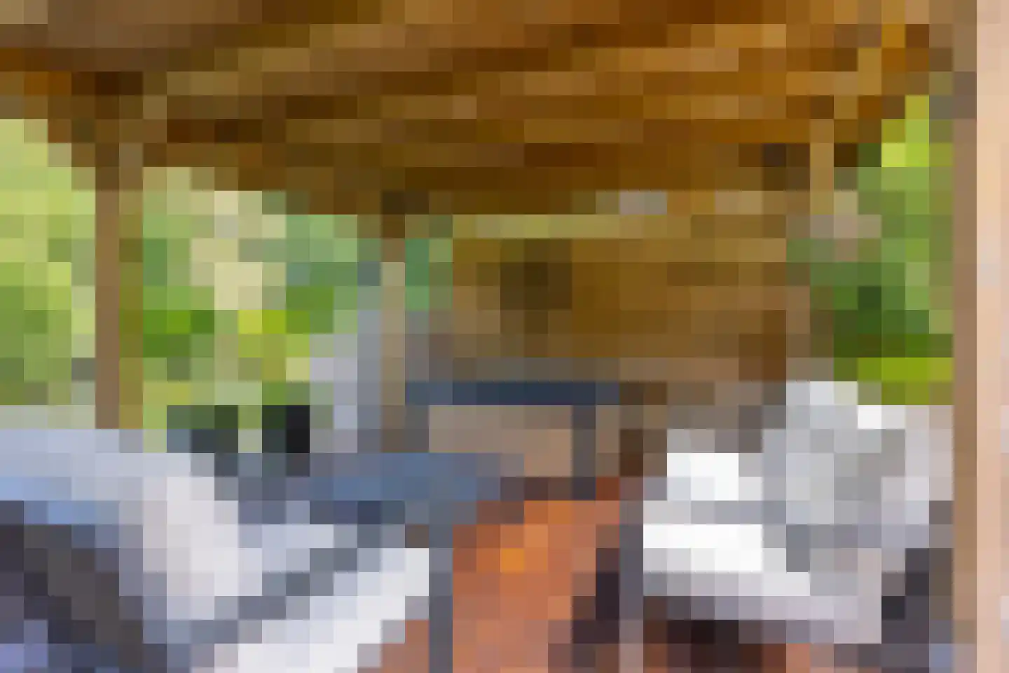 Zwanenkamp 785 Maarssen thumbnail 29