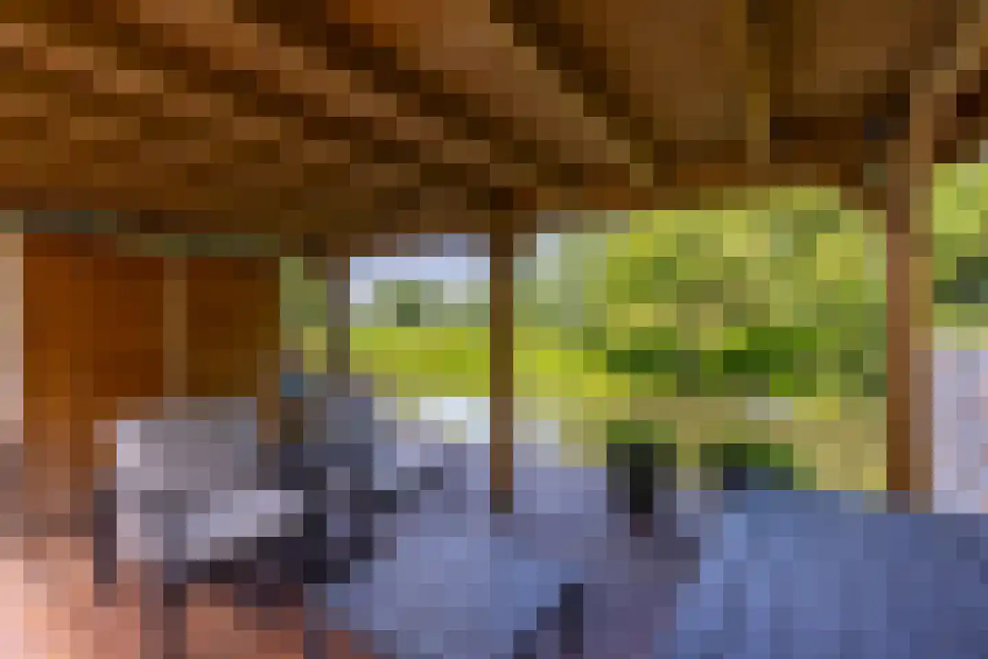 Zwanenkamp 785 Maarssen thumbnail 30
