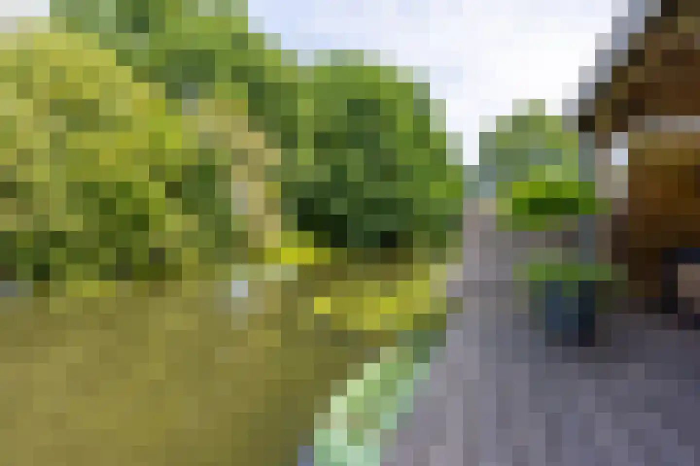 Zwanenkamp 785 Maarssen thumbnail 31