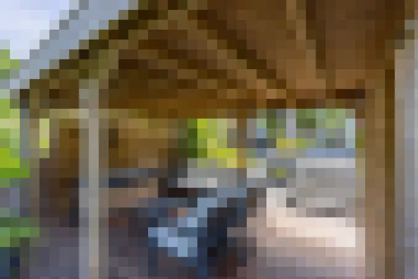 Zwanenkamp 785 Maarssen thumbnail 33