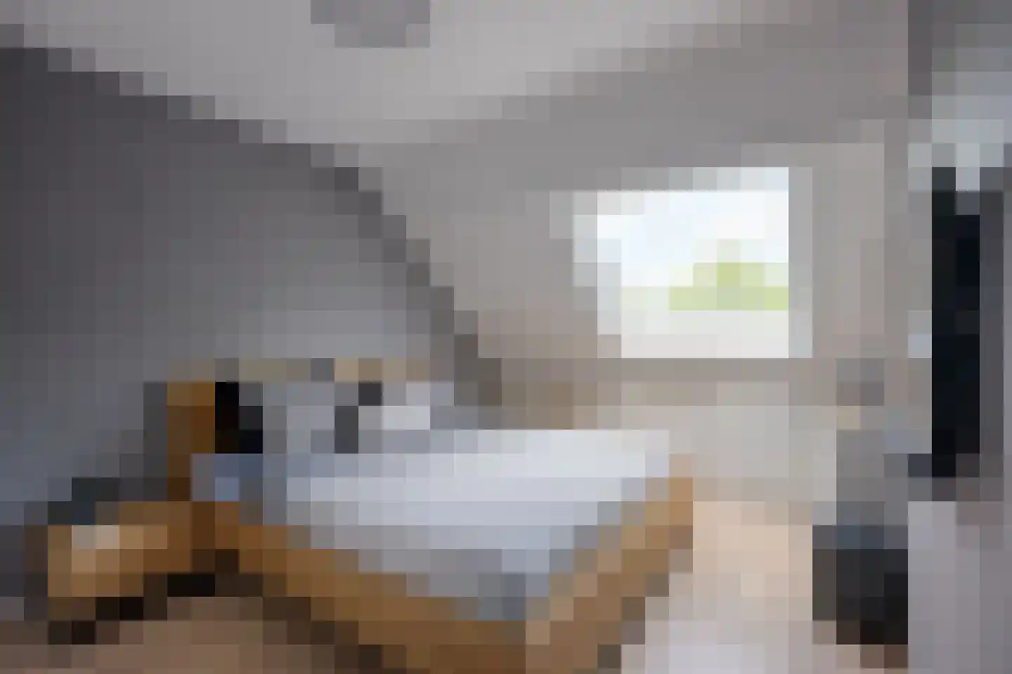 Zwanenkamp 785 Maarssen thumbnail 37