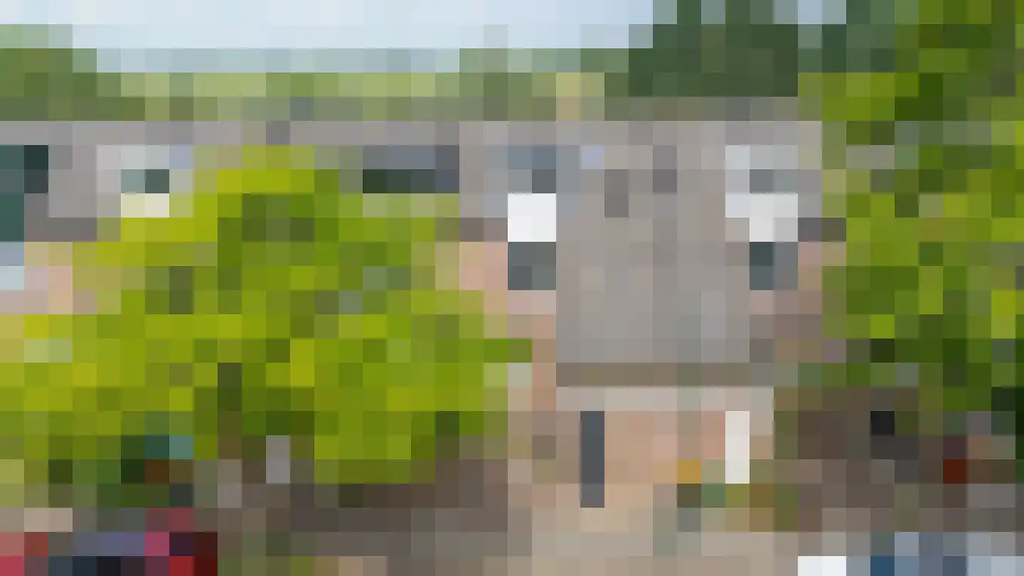 Zwanenkamp 785 Maarssen thumbnail 54