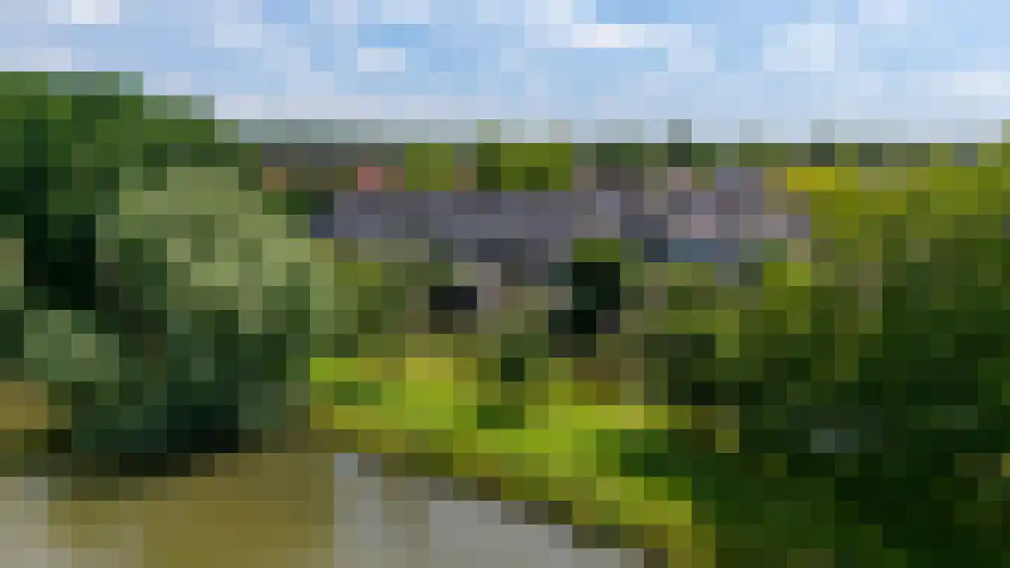 Zwanenkamp 785 Maarssen thumbnail 56