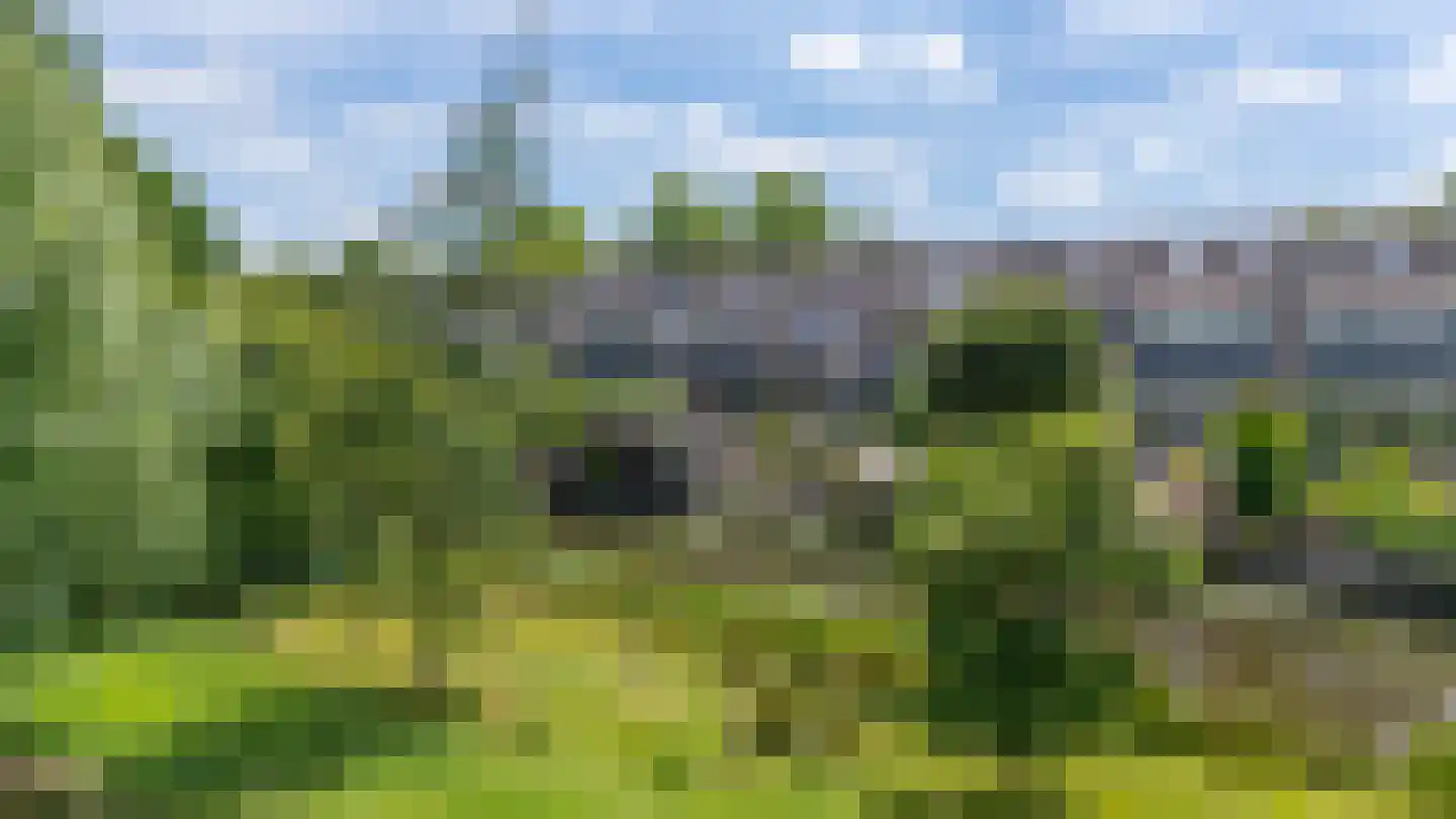 Zwanenkamp 785 Maarssen thumbnail 57