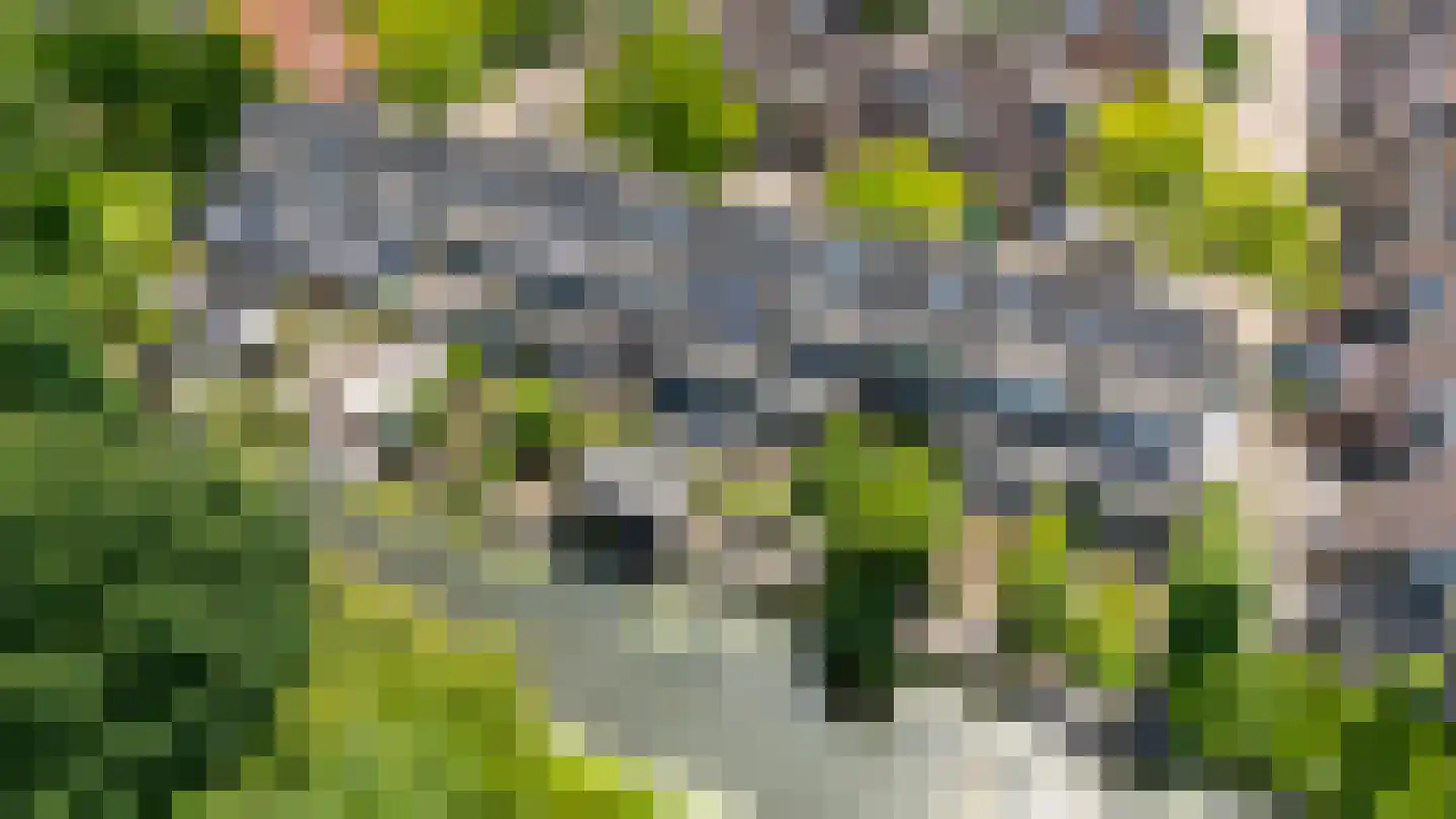 Zwanenkamp 785 Maarssen thumbnail 7