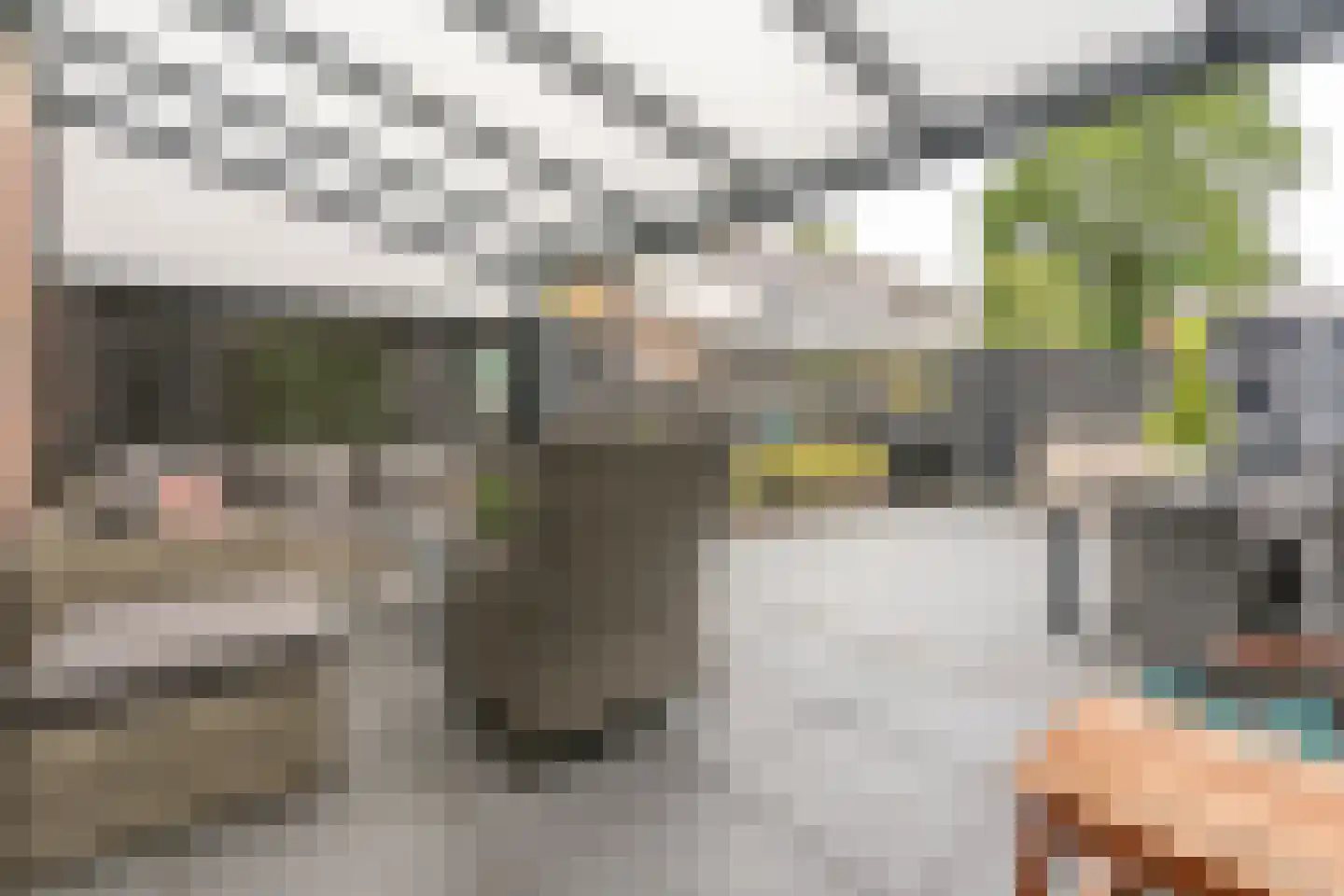 Zwanenkamp 793 Maarssen thumbnail 40