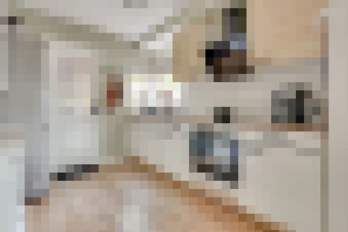 Zwanenkamp 793 Maarssen thumbnail 6