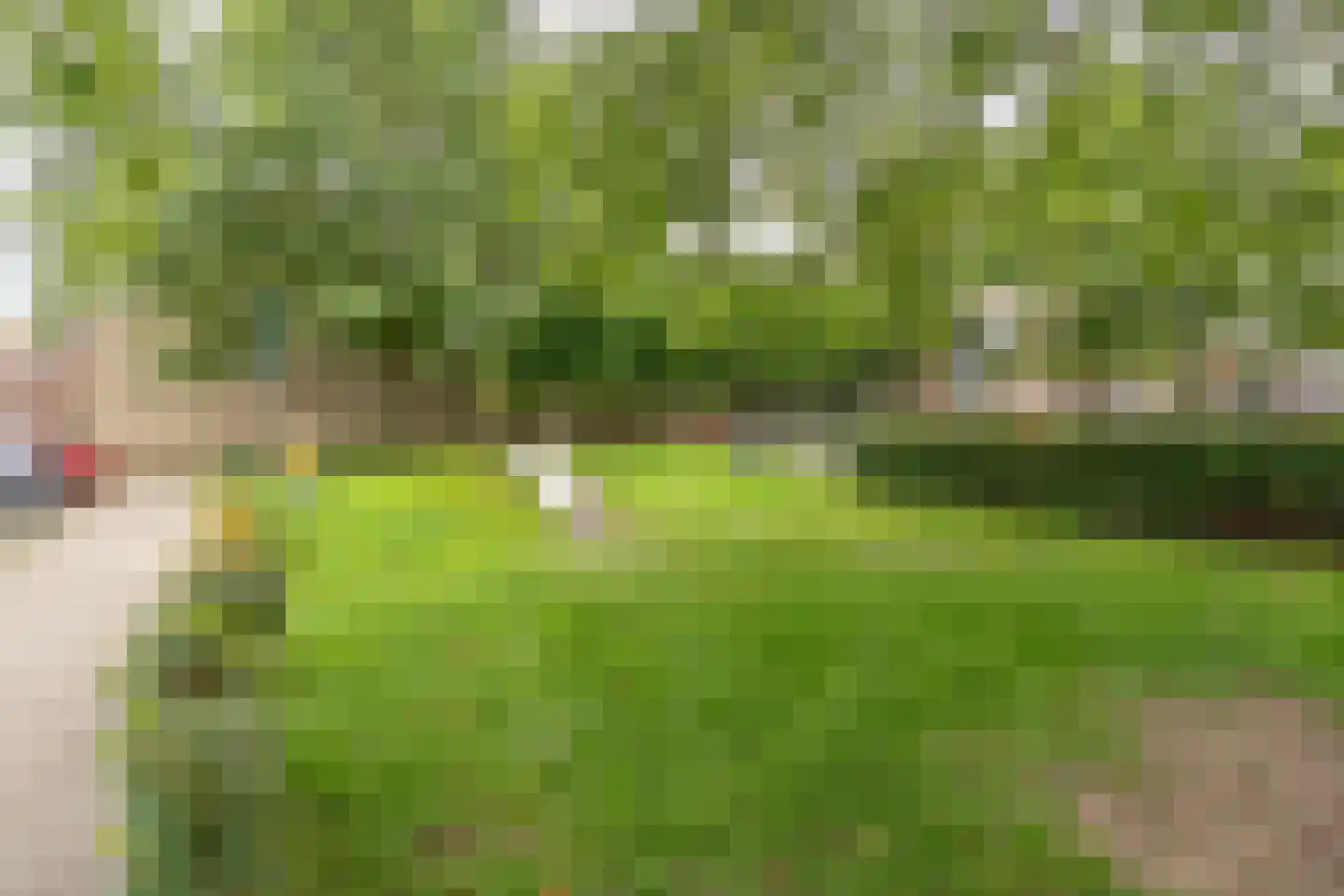 Zwanenkamp 793 Maarssen thumbnail 71