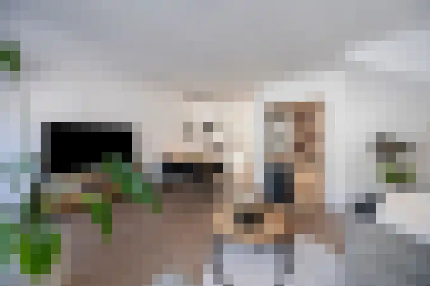 Zwanenkamp 805 Maarssen thumbnail 14