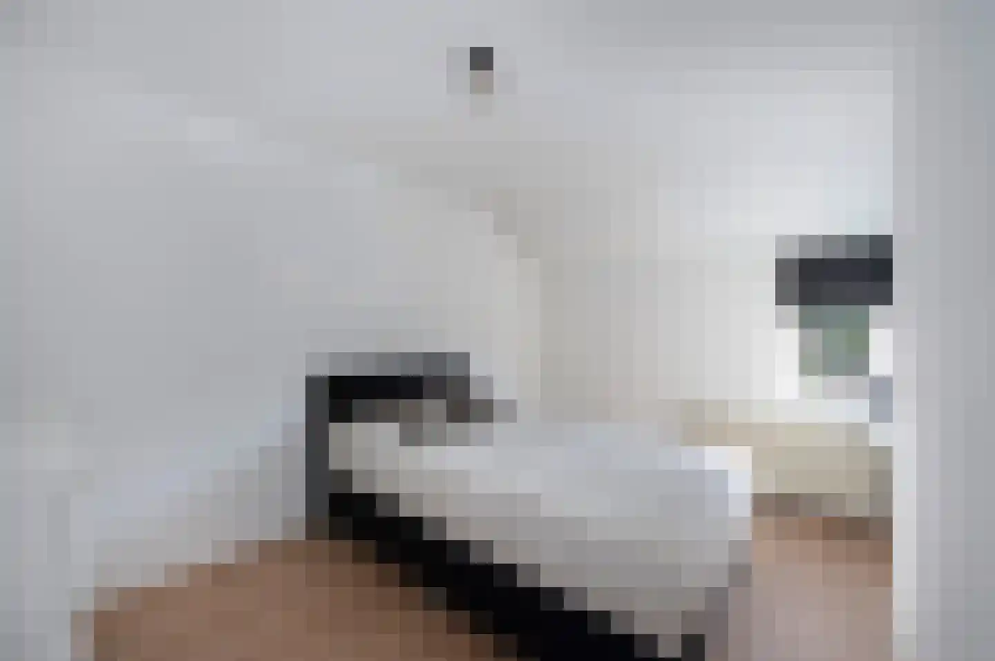 Zwanenkamp 805 Maarssen thumbnail 23