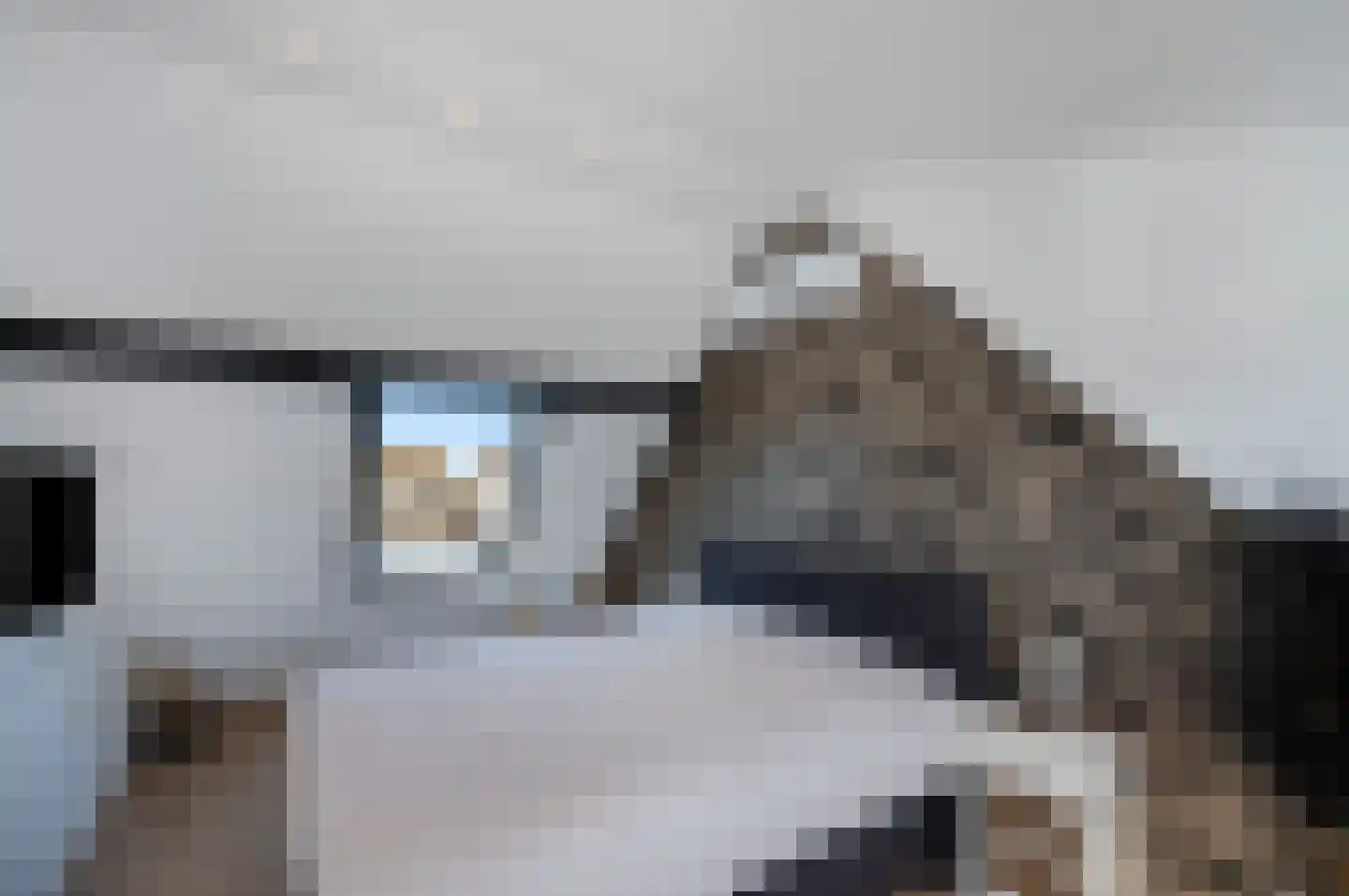 Zwanenkamp 805 Maarssen thumbnail 35