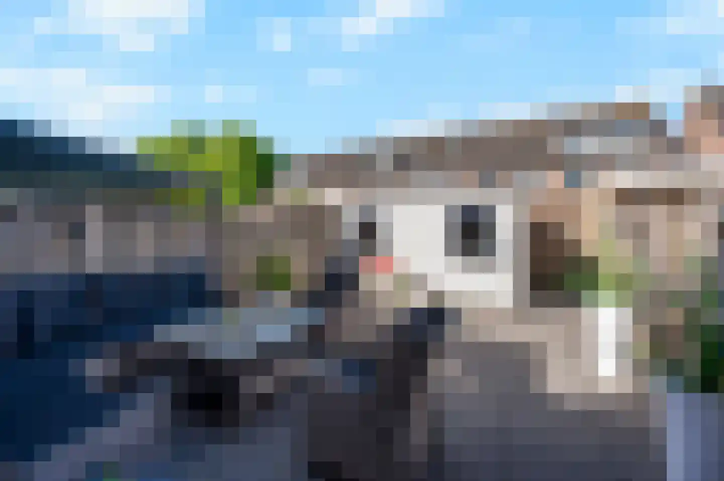 Zwanenkamp 805 Maarssen thumbnail 40