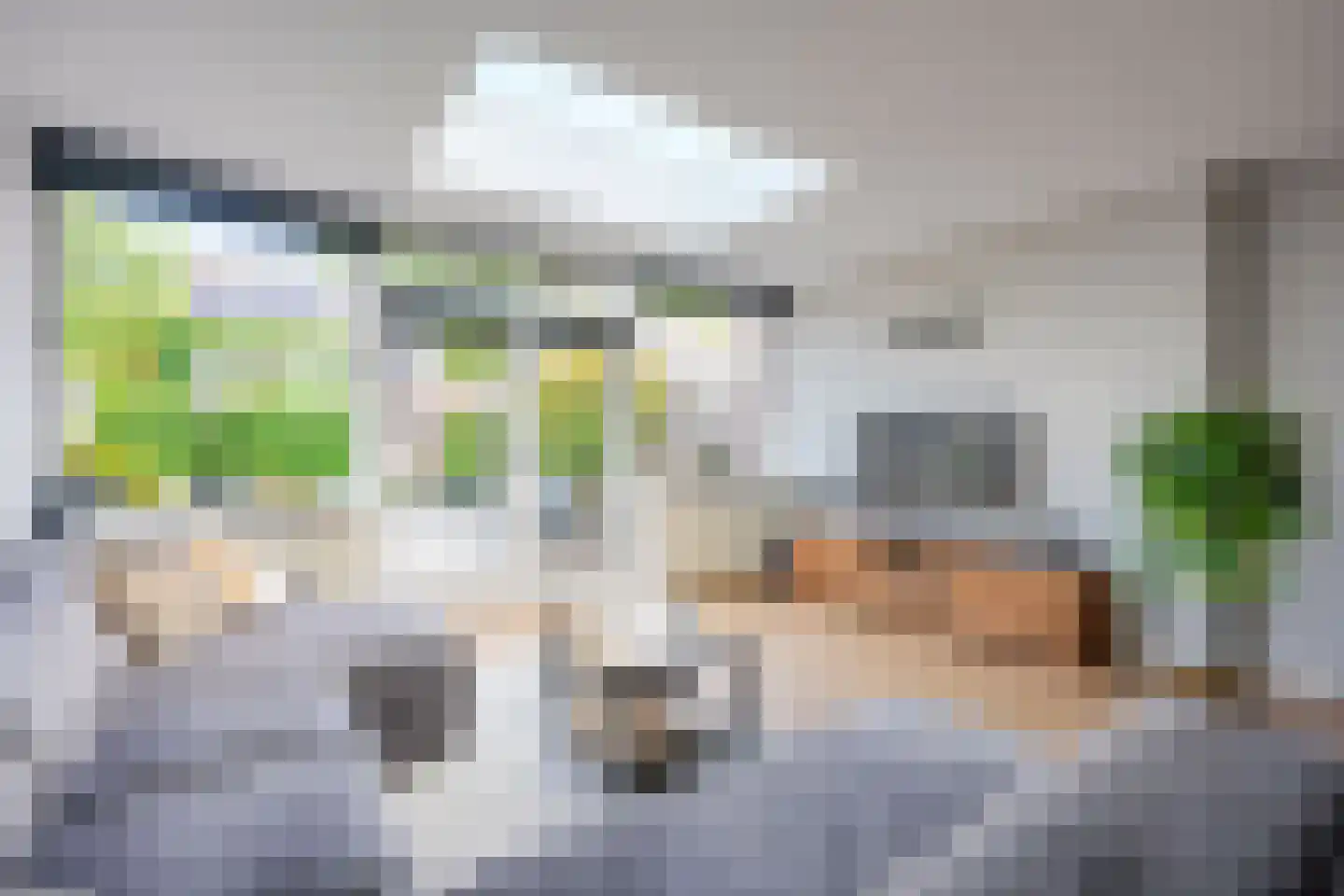 Zwanenkamp 810 Maarssen thumbnail 15