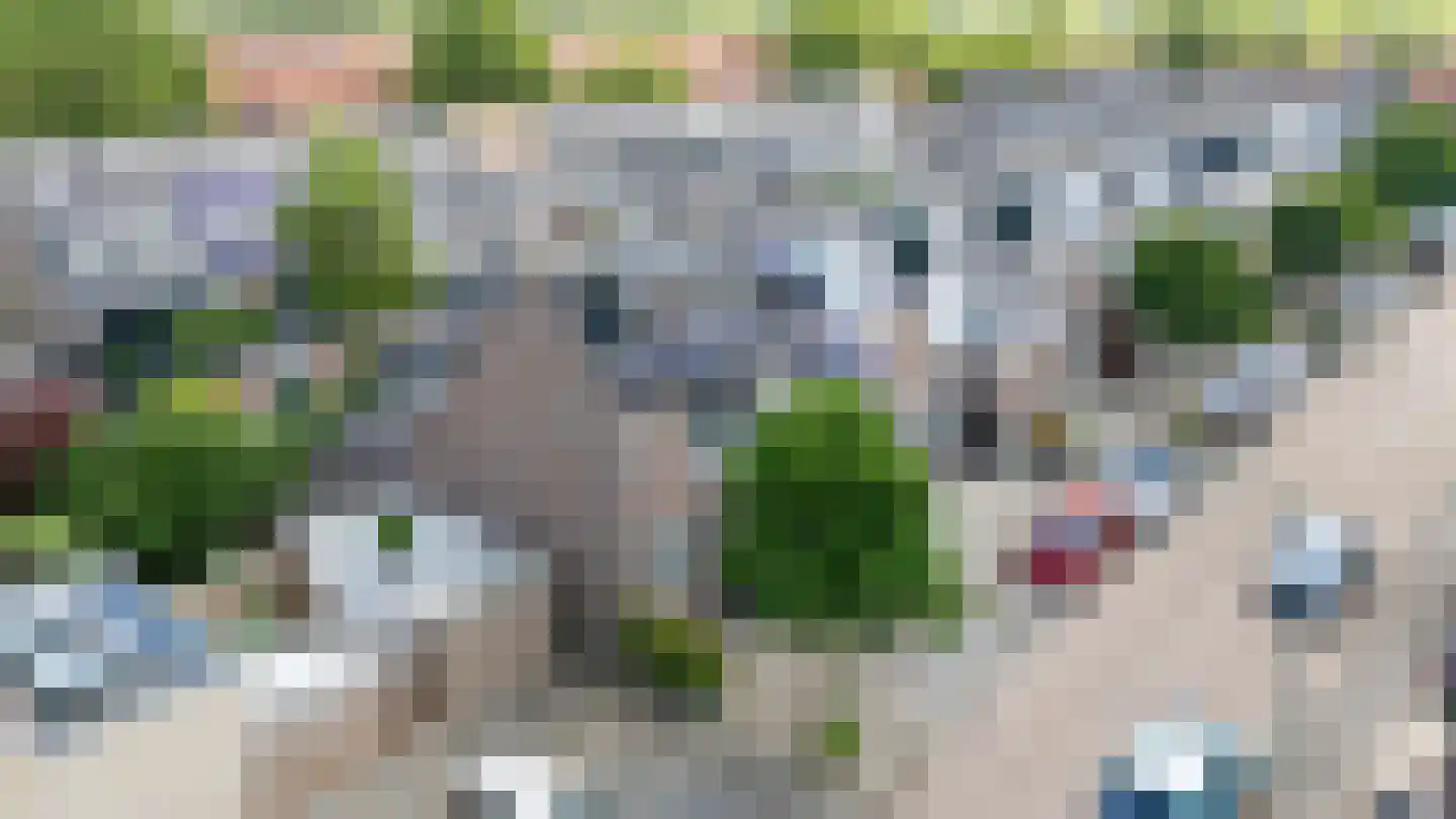 Zwanenkamp 810 Maarssen thumbnail 49