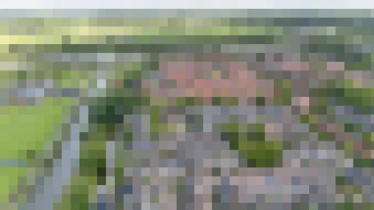 Zwanenkamp 810 Maarssen thumbnail 50
