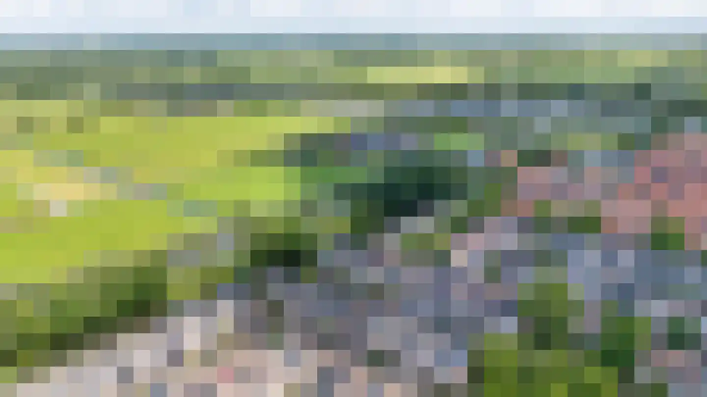 Zwanenkamp 810 Maarssen thumbnail 51
