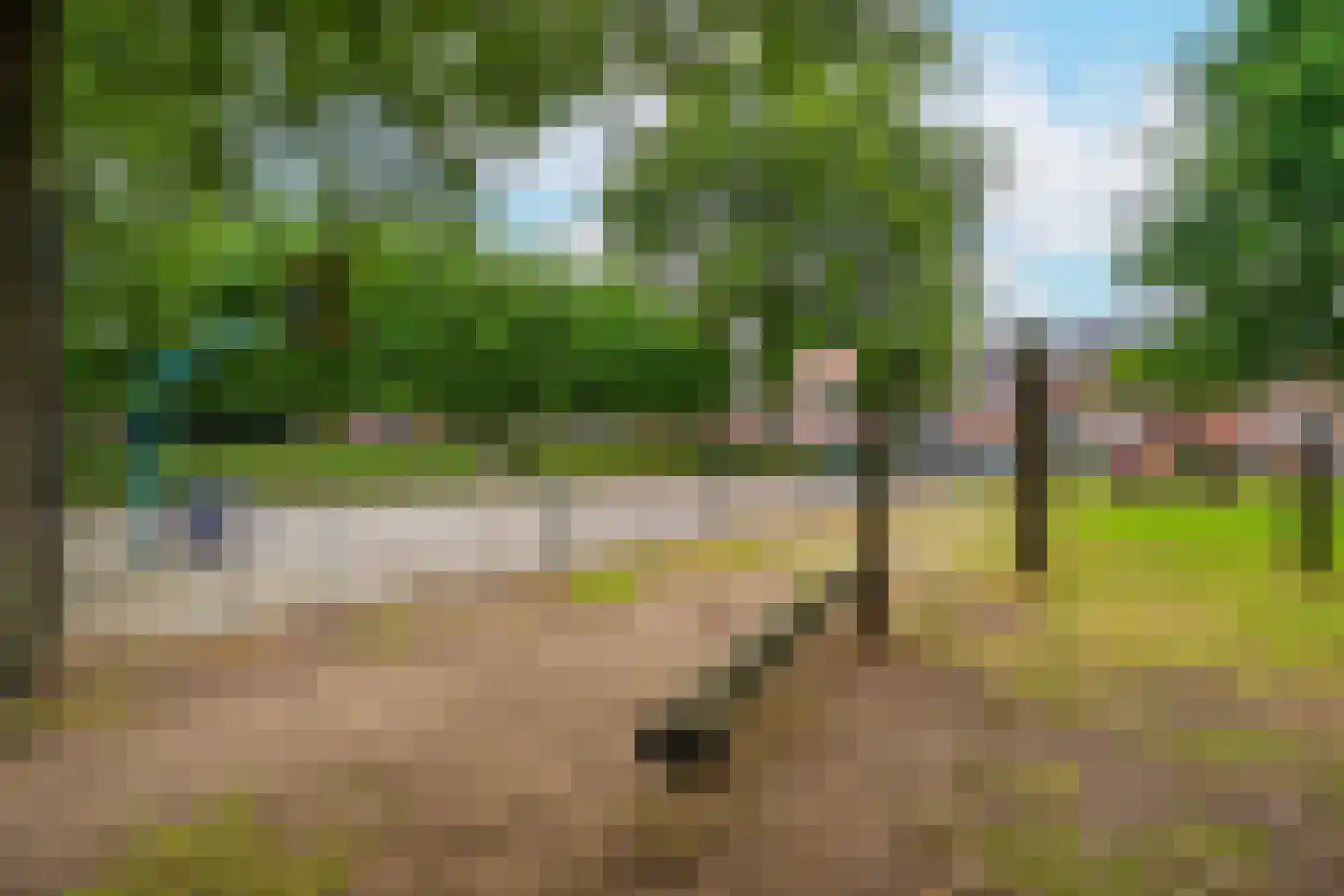 Zwanenkamp 884 Maarssen thumbnail 39