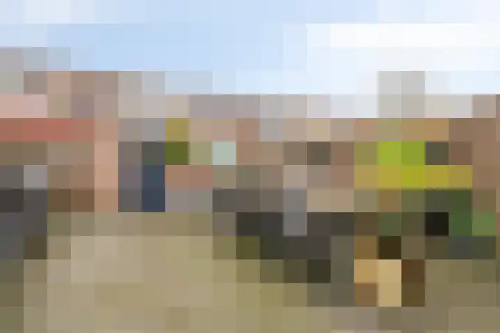 Zwanenkamp 888 Maarssen thumbnail 11