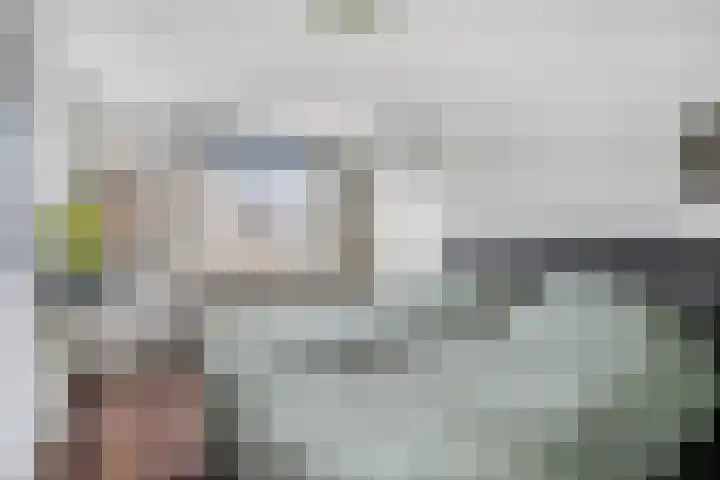 Zwanenkamp 888 Maarssen thumbnail 15