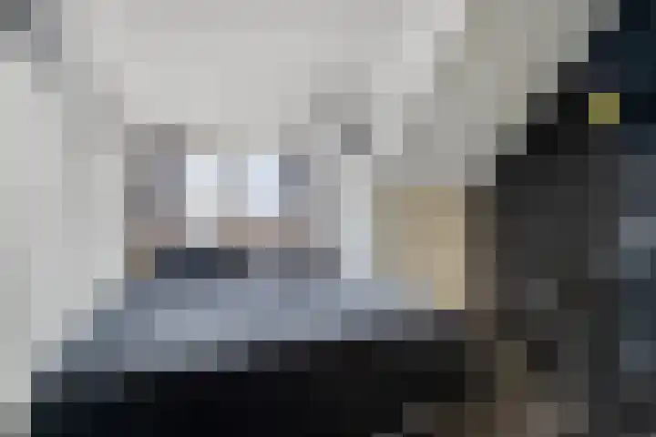 Zwanenkamp 888 Maarssen thumbnail 23